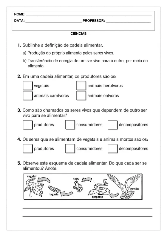 4º ano, Ciências: Cadeia alimentar