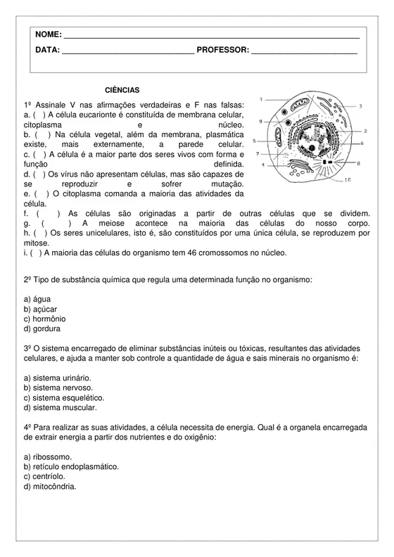 5º ano, Ciências: A célula