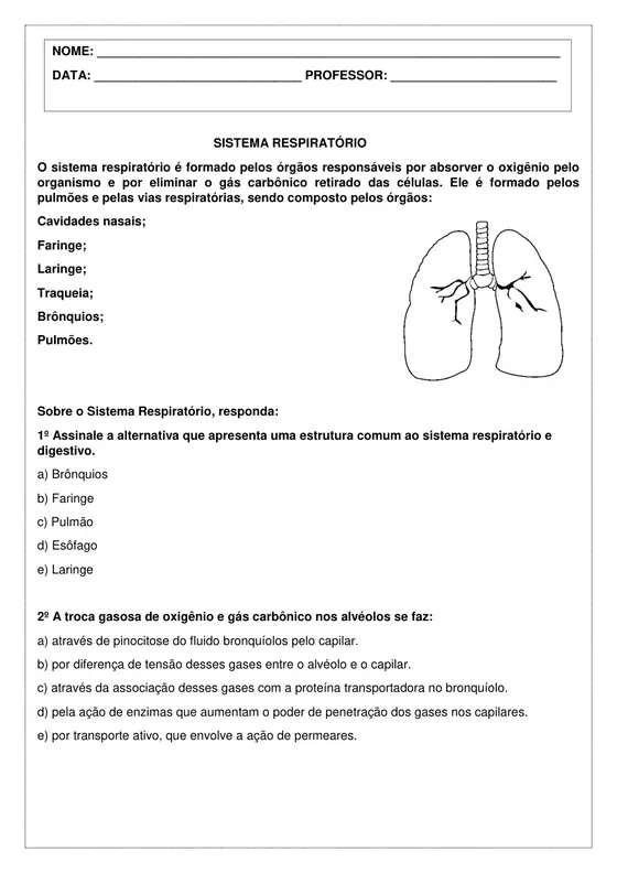 6º ano, Ciências: Sistema respiratório