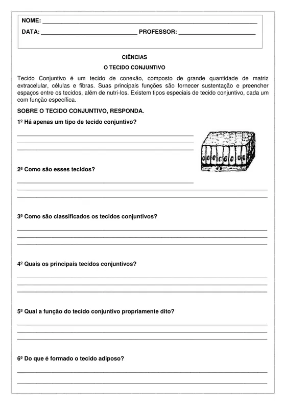 8º ano, Ciências: Tecido conjuntivo