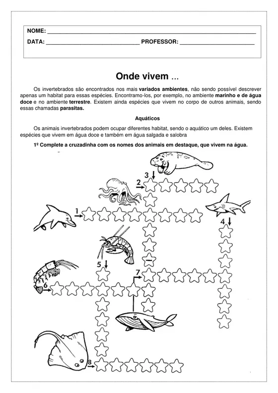 Atividade de reforço escolar do Kit